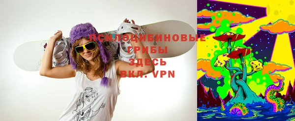 apvp Арсеньев