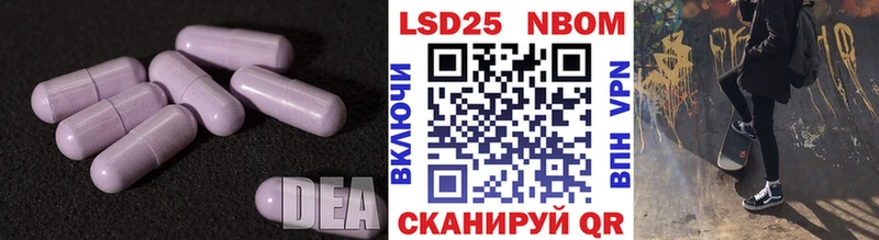 ЛСД экстази ecstasy  где найти   Сегежа 