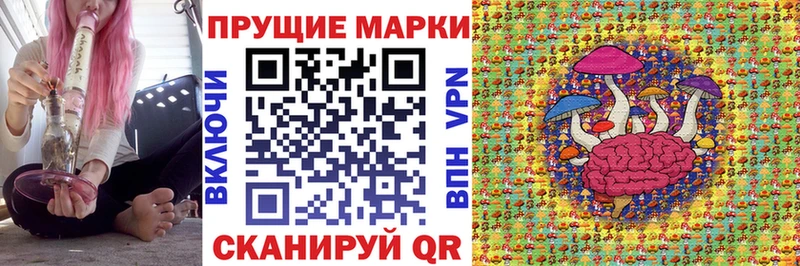 Марки 25I-NBOMe 1,5мг  дарнет шоп  OMG рабочий сайт  Сегежа 