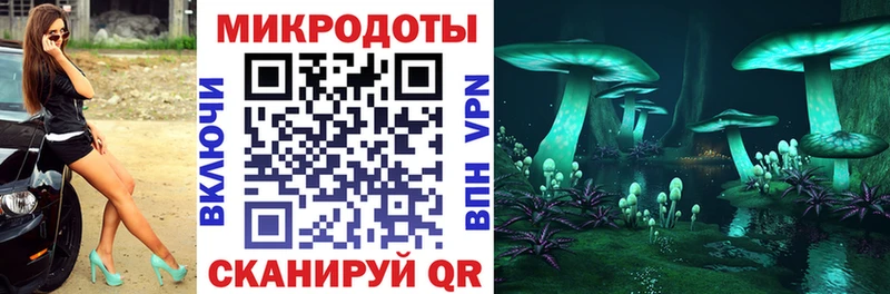 Псилоцибиновые грибы Psilocybe  Сегежа 